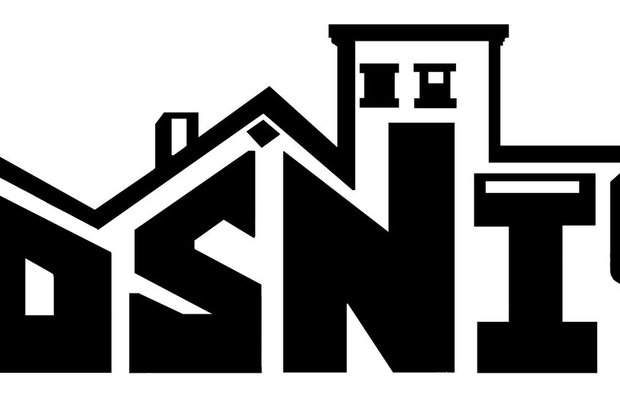 DSNI-Logo.jpg