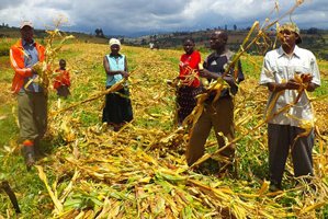 Mount-Elgon-p.jpg
