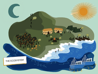 The Ecosystem