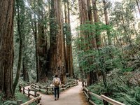 caleb-jones-J3JMyXWQHXU-unsplash (1)