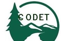 logo_CODET.jpg