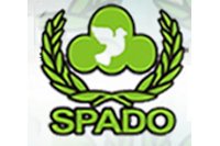 spado-p.jpg